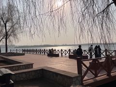 -丁香湖公园