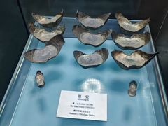 -衢州市博物馆