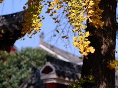 -长春观