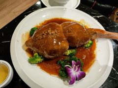 -丁老爷子苏香圆