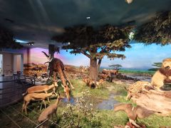 -国家自然博物馆