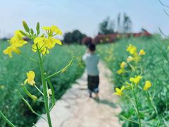 -武汉紫薇都市田园