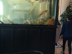 -玉雪春天(中正花园店)