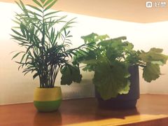 -十二舍·湯物素煮(江泰潤政店)