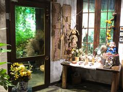 -馬蘭花開(车站大道店)