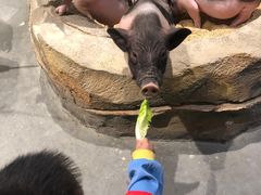 -KKV(深圳宏发大仟里店)