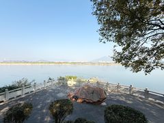 -福建鲤鱼洲酒店