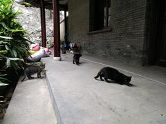 -伯先公园