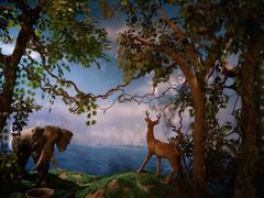 -中国闽台缘博物馆