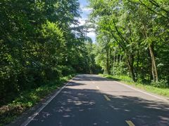 -五营红松林海景区