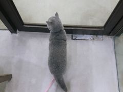 -贝利宠物医院·骨科·眼科·肿瘤转诊中心(南坪诊疗中心)
