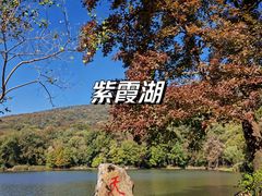 -紫金山山顶公园