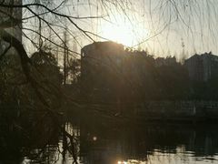 -沙市市中山公园