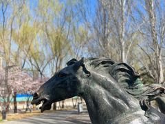 -元大都城垣遗址公园