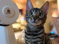 -Me Coffee下午茶艺术空间