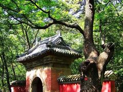 -北京上方山国家森林公园