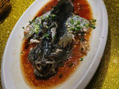 油浸海斑鱼-宋园·金宴浙鲜馆(静安店)