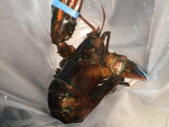 -盒马鲜生(曜一城店)