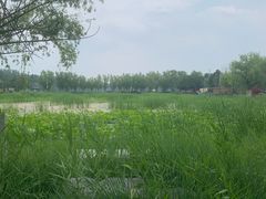 -蟹岛开饭楼