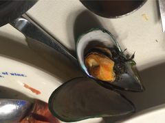多伦多海鲜自助餐厅(圆融店)-星伦多 自助料理(圆融店)