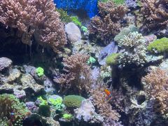 -珠海长隆海洋王国