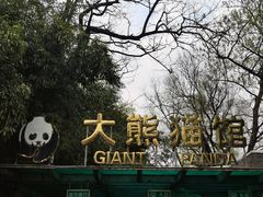 -北京动物园