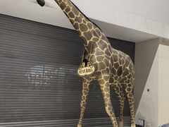 -奥利弗·雷金纳德·坦博国际机场