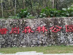 -王借岗森林公园