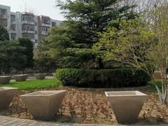 -金星公园