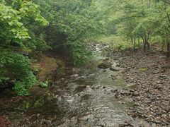 -关门山森林公园