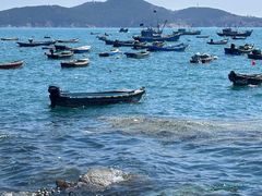 -海源公园