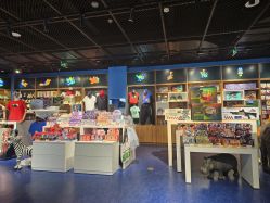 -飞览天下沉浸式飞行体验(北京旗舰店)