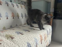 -全心全意连锁动物医院(加州店)