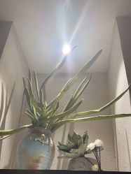 -香秀空间科技抗衰·美容中心