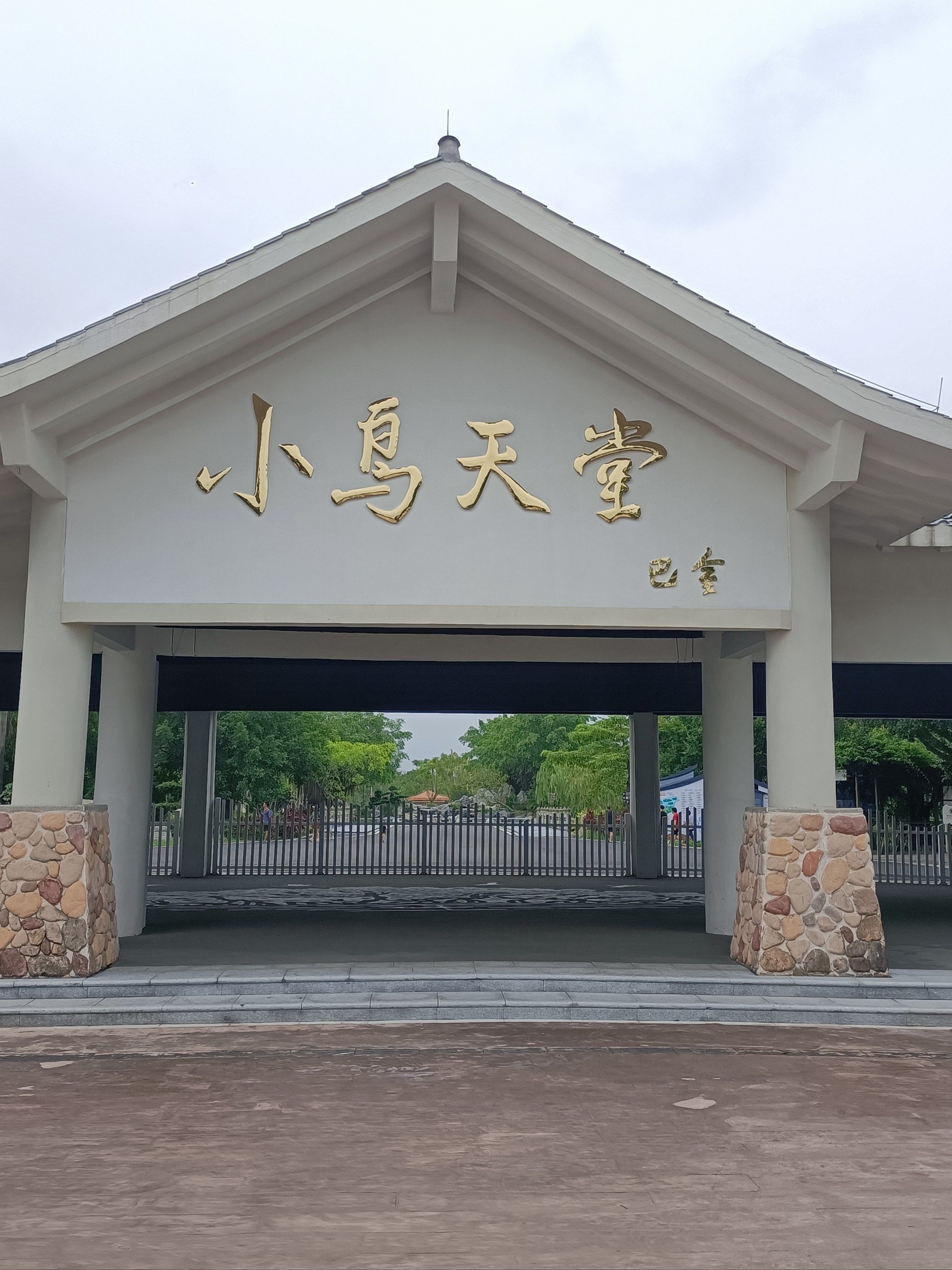 语文课本巴金先生笔下的小鸟天堂