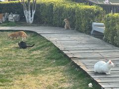 -滨湖塘西河公园