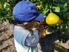 -前小桔亲子创意农场·草莓采摘·露营烧烤