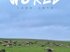-呼伦贝尔大草原