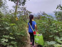 -鬼笑石后山停车场