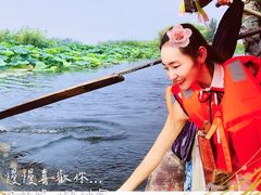 -白洋淀景区