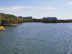 -大兴滨河森林公园