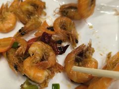 -北京新世纪饭店(动物园地铁站店)