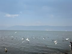 -大理洱海