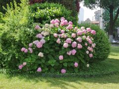 -西北湖绿化广场