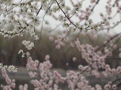 -颐和园