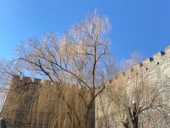-北京明城墙遗址公园