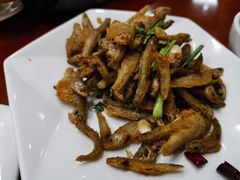 -品雅轩农家乐