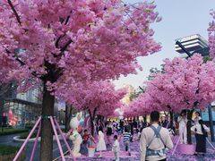 -东莞松山湖万象汇