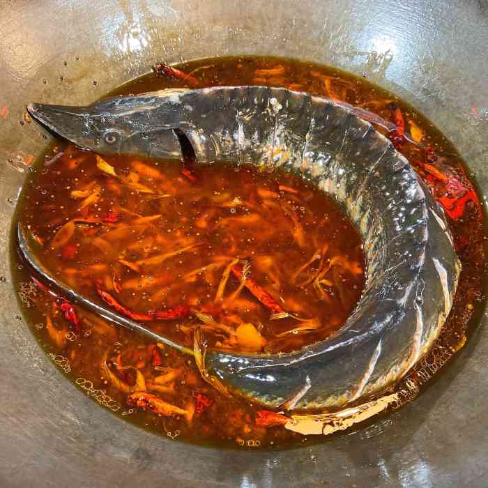 铁锅炖鲟鱼图片