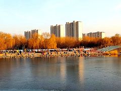 -大兴滨河森林公园